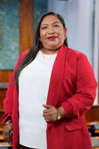 Retrato de Dip. Briseida Valenzuela Buichia