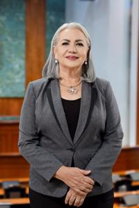 Retrato de Dip. Rita Fierro Reyes