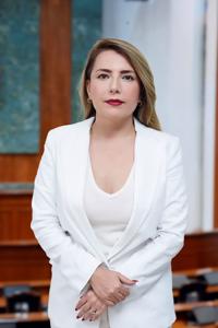 Retrato de Dip. Roxana Rubio Valdez