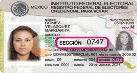 Credencial de elector resaltando la ubicación del texto que muestra su sección electoral correspondiente
