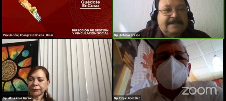 Diputados en reunión virtual