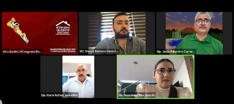 Comisión de Seguridad Pública en reunión virtual