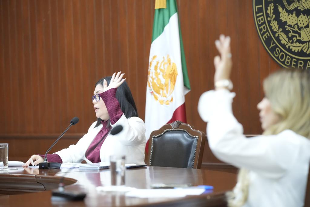 Recibe Congreso solicitud de convocatoria del IPPDDHP para designar ...