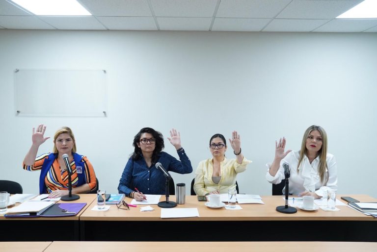Cuatro integrantes de la Comisión de Igualdad de Género y Familia sesionan y votan en pequeña sala.