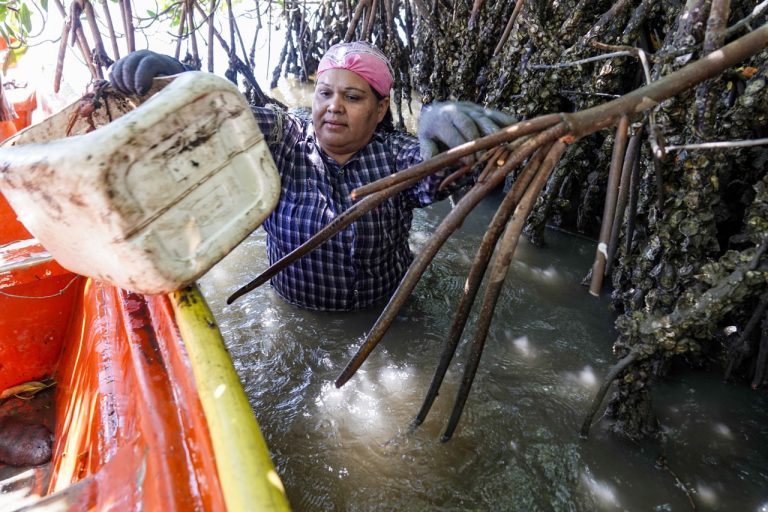 Yanett Miranda Castro Medina trabajando en el agua con su equipo de pesca