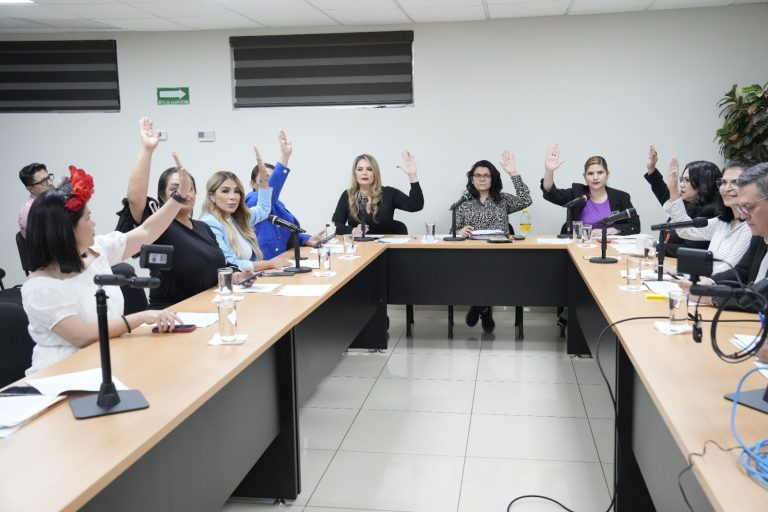 Integrantes de dos comisiones sesionan en sala adjunta al pleno