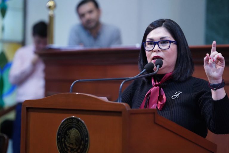 Diputada Juana Minerva Vázquez habla en tribuna.