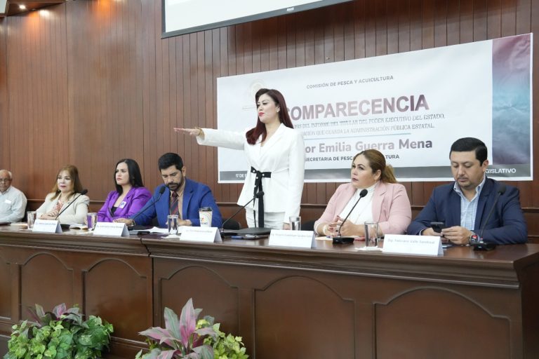Titular de Pesca protesta decir verdad levantando su brazo en su comparecencia ante diputadas y diputados.