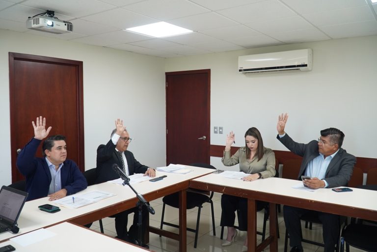 Cuatro integrantes de Comisión de Puntos Constitucionales y Gobernación votan levantando sus brazos.
