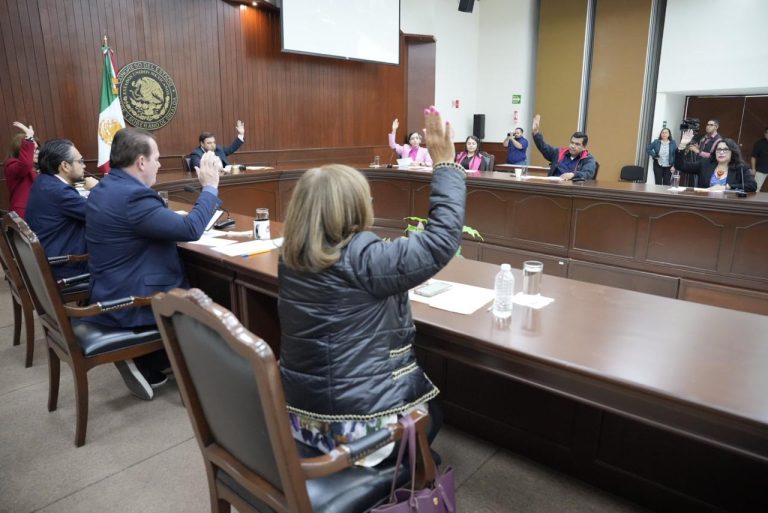 Diputadas y diputados votan levantando su brazo.