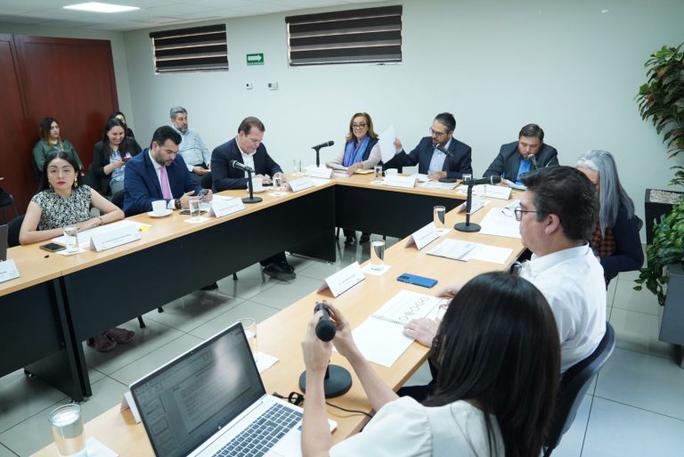 Diputadas y diputados de la Comisión de Fiscalización en reunión con personal de la ASE.