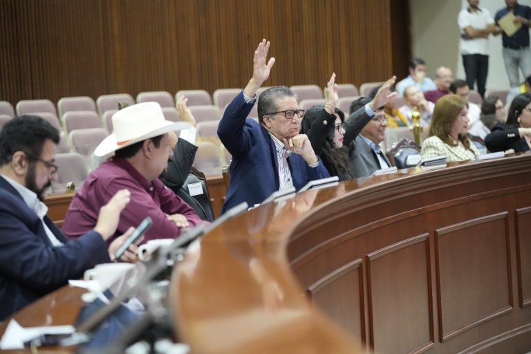 Diputadas y diputados votan levantando sus brazos desde sus asientos.
