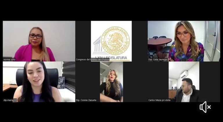 Integrantes de Comisión de Turismo aparecen en pantalla en reunión virtual.