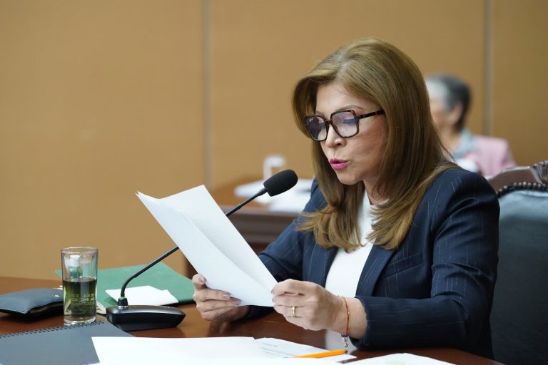 Diputada secretaria de la Diputación Permanente da lectura a iniciativa en sesión.