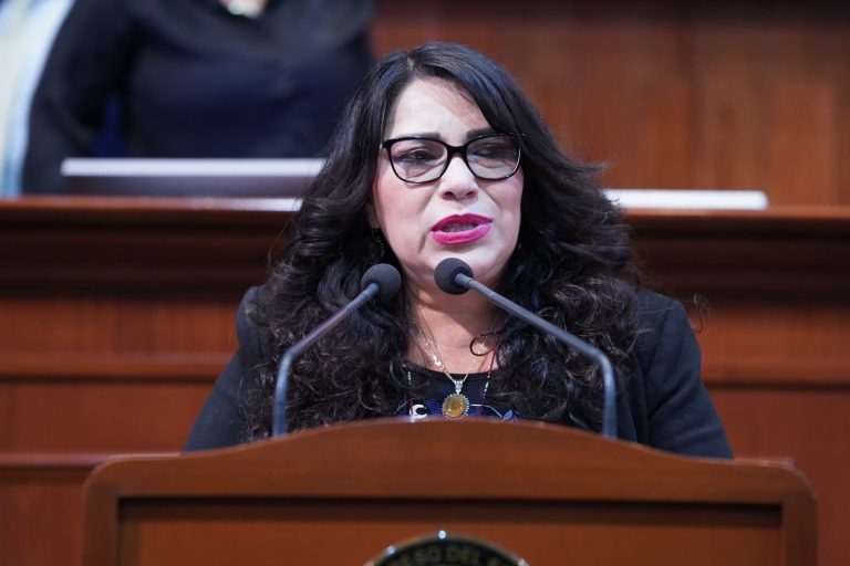 Diputada Verónica Guadalupe Bátiz, habla en tribuna.