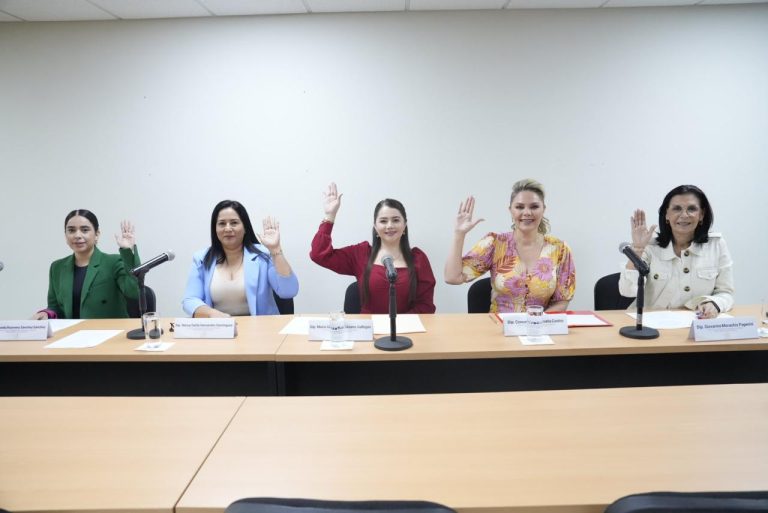 Cinco diputadas de la Comisión votan levantando sus brazos.