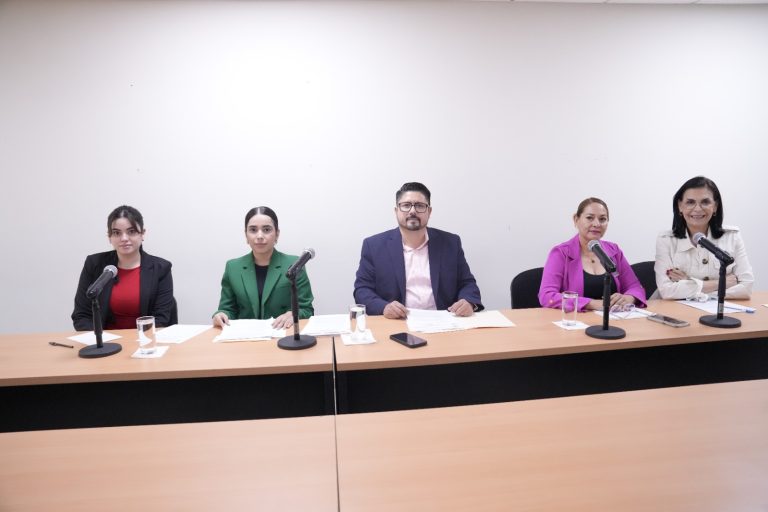 Cinco integrantes de la Comisión sesionan.