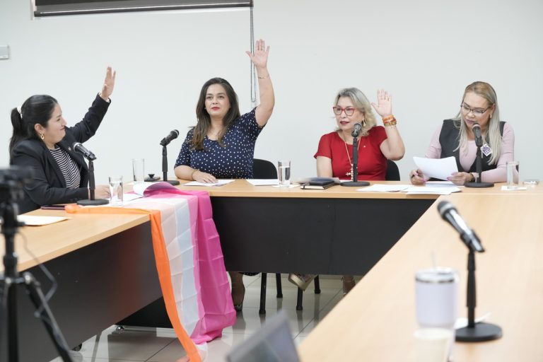 Integrantes de la Comisión votan a favor de acuerdo propuesto.