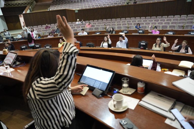 Desde sus lugares diputadas y diputados votan levantando sus manos