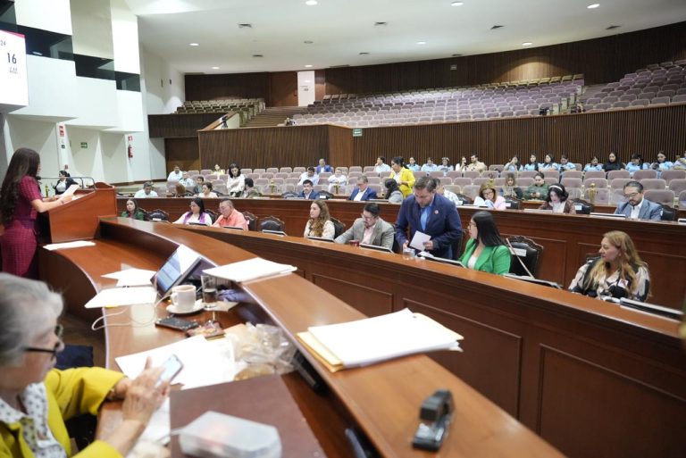 Diputadas y diputados siguen sesión en sus respectivos asientos.