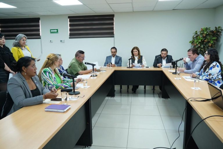 Diputadas y diputados de dos comisiones sesionan en sala adjunta al Salón de Sesiones.