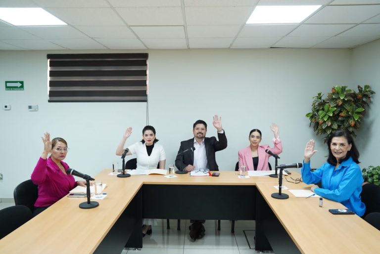 Integrantes de Comisión de Protocolo votan levantando sus manos durante sesión de trabajo.
