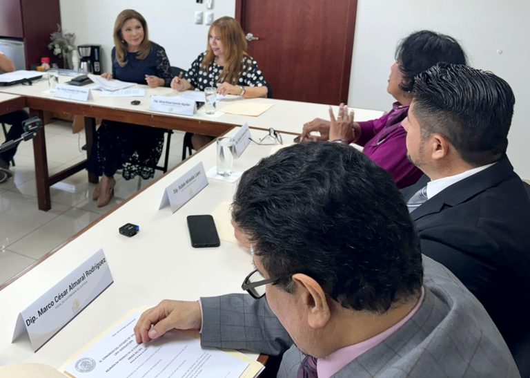 Integrantes de Comisión de Justicia sesionan en pequeña sala.