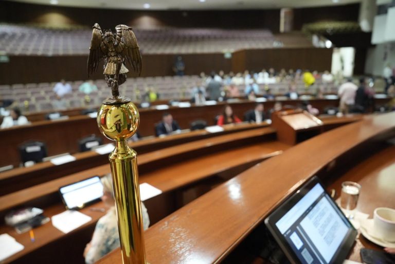 Toma del Pleno, pero en primer plano una figura de águila sobre una esfera decorativa.