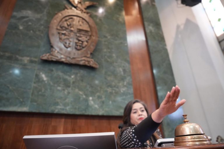 Diputada Cecilia Covarrubias envía condolencias desde presidencia de Mesa Directiva.