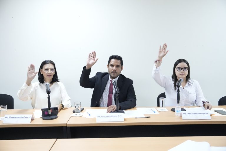 Dos diputadas y un diputado de la Comisión de Protocolo participan en reunión de trabajo.