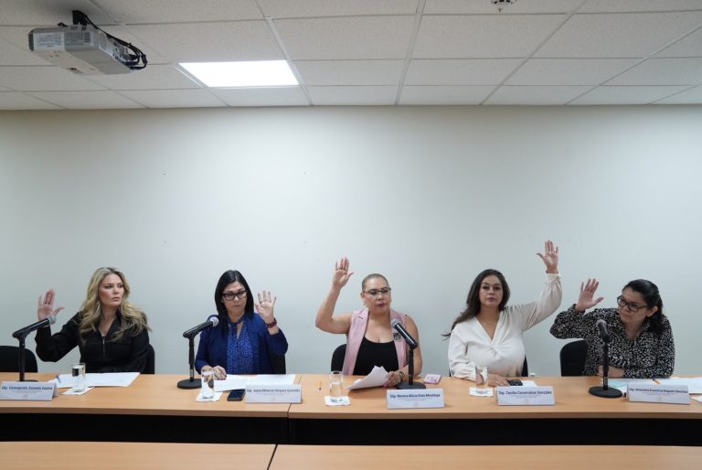 Diputadas integrantes de la Comisión votan de manera unánime levantando sus manos.