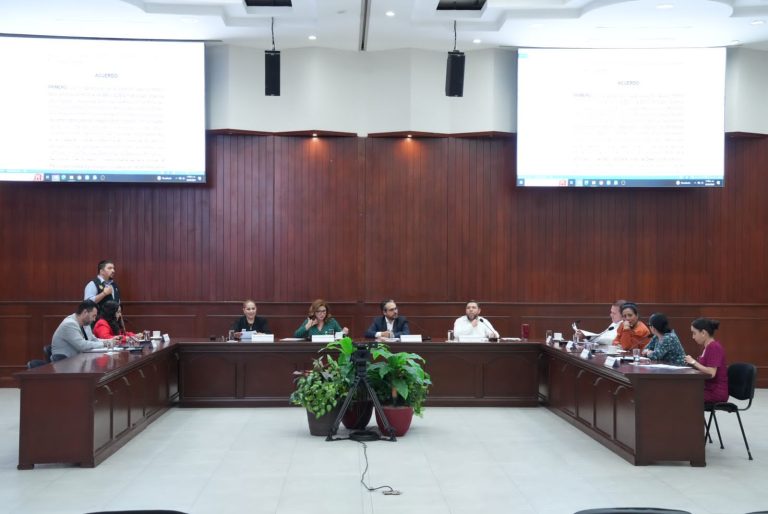 Diputadas y diputados de dos comisiones permanentes sesionan en Salón Constituyentes de 1917.