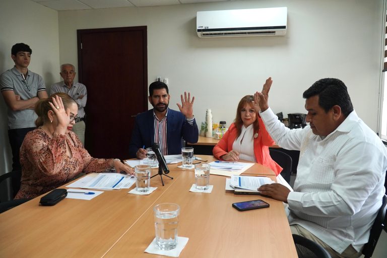 Cuatro integrantes de la Comisión aprueban agenda de trabajo levantando sus manos.
