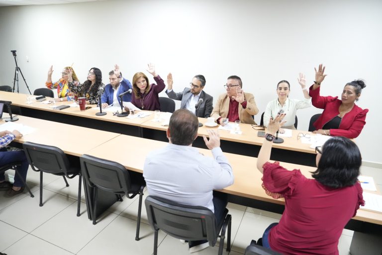 Diputadas y diputados votan de manera unánime en reunión.
