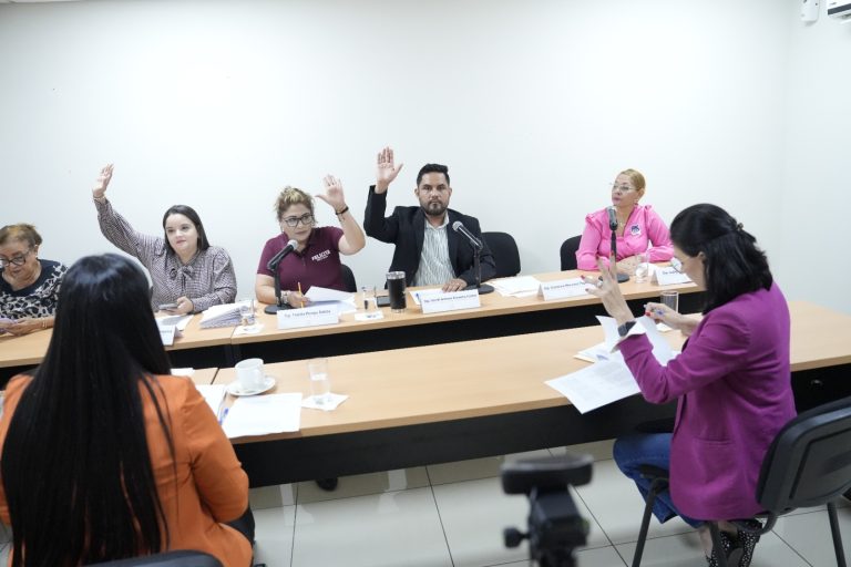 Integrantes de la Comisión de Protocolo sesionan en Sala A, del Congreso.