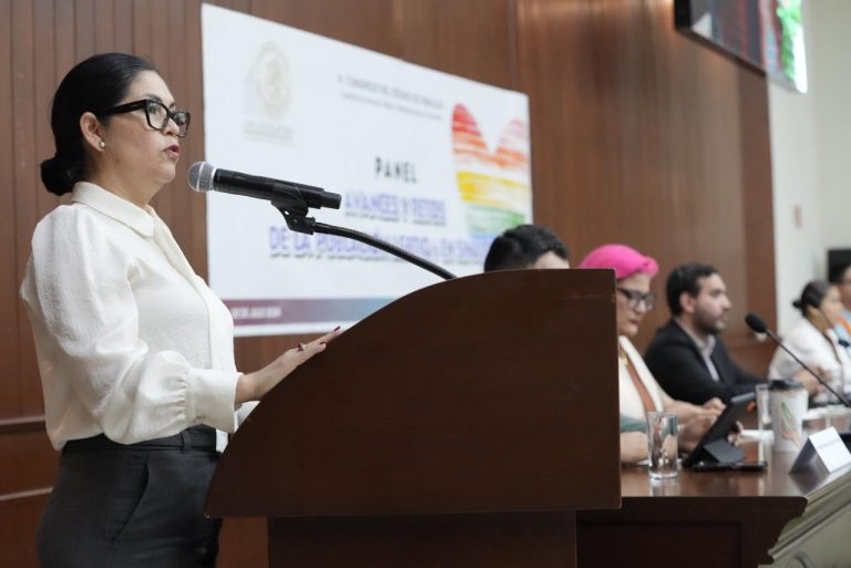 Diputada Juana Minerva Vázquez habla en podium durante el panel