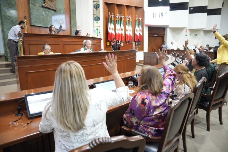 Diputadas y diputados votan a favor desde sus asientos.