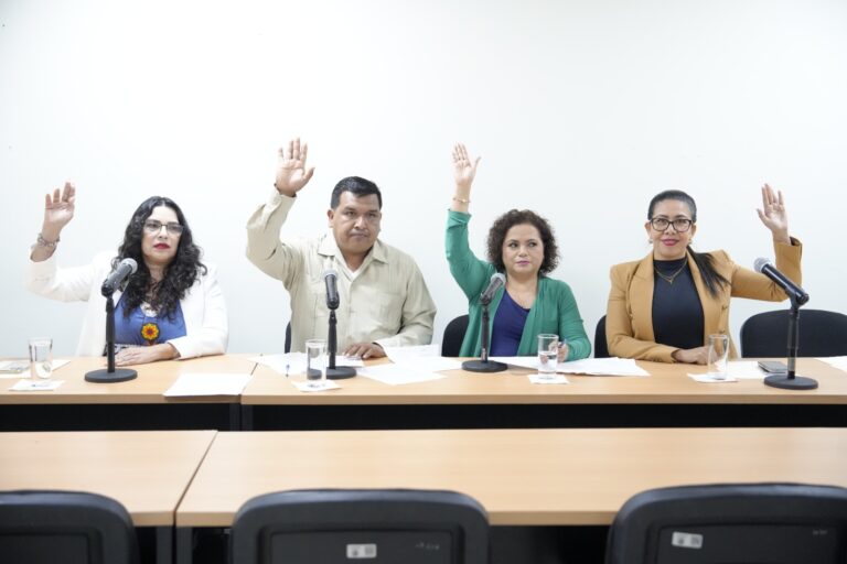 Cuatro integrantes de la Comisión votan levantando sus manos.