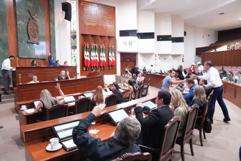 Diputados y diputadas votan desde sus respectivos lugares.