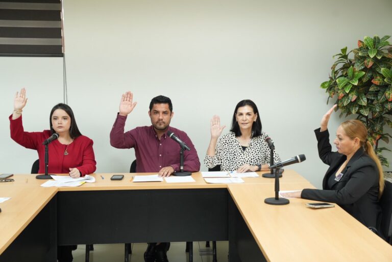Integrantes de la Comisión de Protocolo votan en reunión de trabajo.