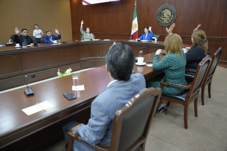 Integrantes de la Diputación Permanente aprueban levantando sus manos.