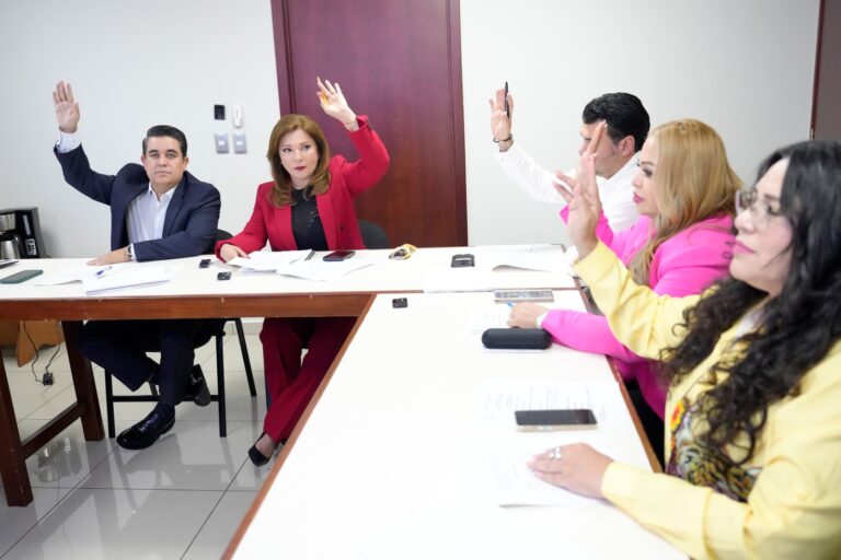 Integrantes de Comisión de Puntos Constitucionales y Gobernación votan en reunión.