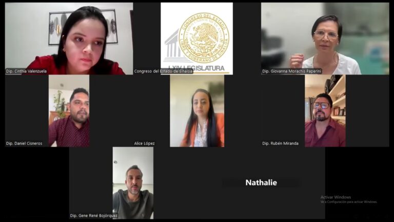 Rostros de integrantes de la Comisión de Protocolo aparecen en pantalla por ser reunión virtual.
