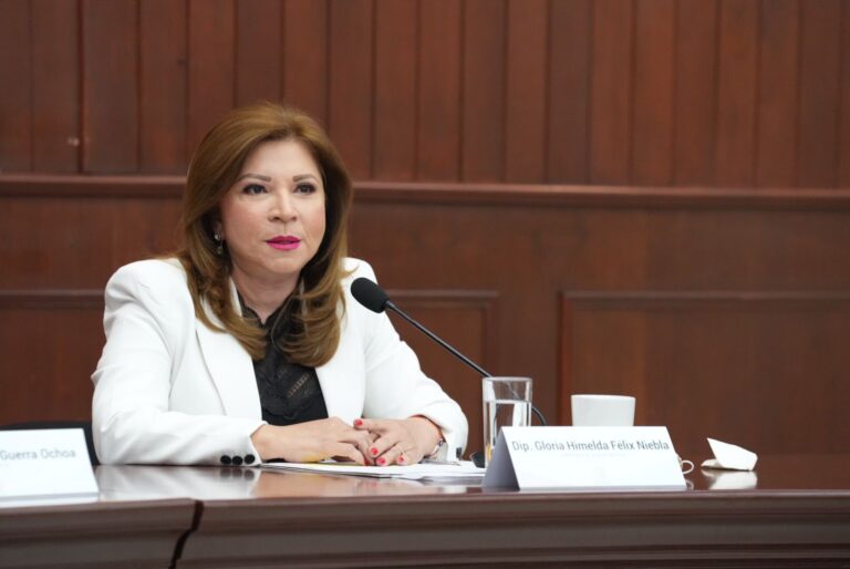 Diputada Gloria Himelda Félix, sentada frente a micrófono.