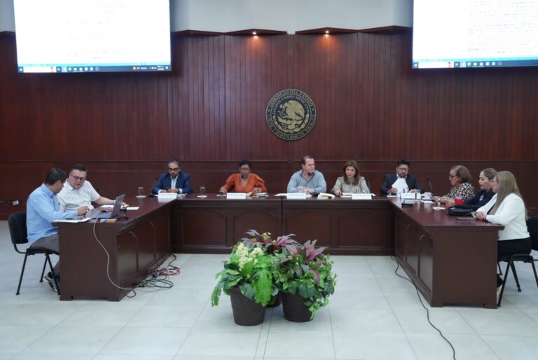 Integrantes de Comisión de Educación sesionan en mesa tipo herradura en salón Constituyentes de 1917.