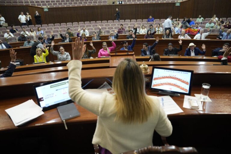 Diputada presidente aparece de espaldas, votando, frente a sus compañeras y compañeros.