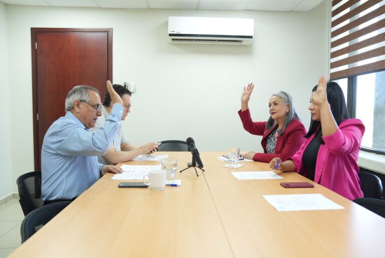 Cuatro integrantes de la comisión sesionan en pequeña sala y levantan sus manos durante votación.