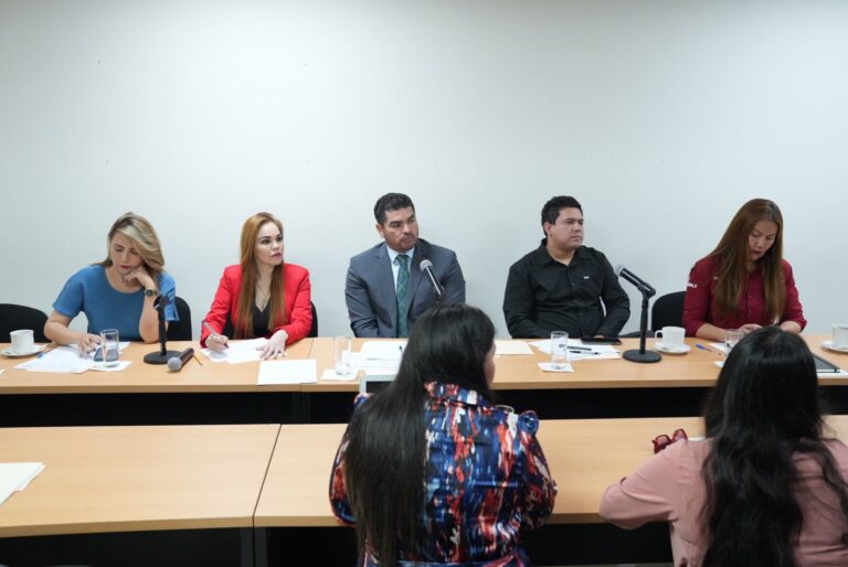 Las y los integrantes de la Comisión sostienen reunión de trabajo.