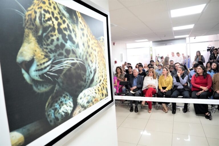 Diputadas, diputados y público escucha semblanza de jaguares en Sinaloa.