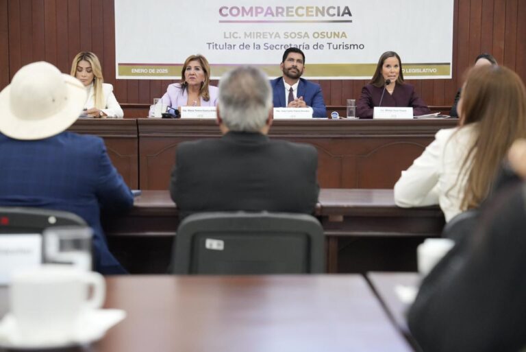 Diputadas y diputados acompañan sentados a secretaria compareciente en presidium.